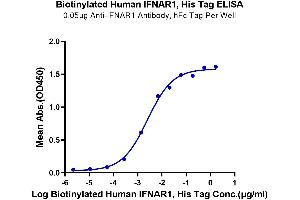 ELISA image for Interferon alpha (IFNA) (AA 28-436) protein (His-Avi Tag,Biotin) (ABIN7274850)