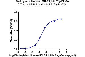 Immobilized Anti-IFNAR1 Antibody, hFc Tag at 0. (IFNA Protein (His-Avi Tag,Biotin))