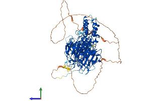 Protein Structure (PS) image for Kelch-Like 1 (KLHL1) (AA 1-748) protein (His tag) (ABIN7548929)