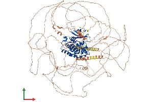 Protein Structure (PS) image for tau Tubulin Kinase 1 (Ttbk1) (AA 1-1308) protein (His tag) (ABIN7564112)