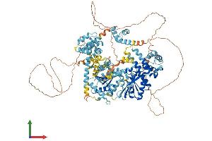 Protein Structure (PS) image for SWI/SNF-Related, Matrix-Associated Actin-Dependent Regulator of Chromatin, Subfamily A, Containing DEAD/H Box 1 (SMARCAD1) (AA 1-1026) protein (His tag) (ABIN7555585)