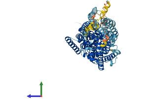 Protein Structure (PS) image for Solute Carrier Family 5 (Sodium/glucose Cotransporter), Member 1 (SLC5A1) (AA 1-664) protein (His tag) (ABIN7555391)