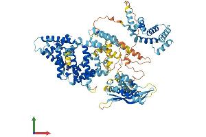 Protein Structure (PS) image for Sorting Nexin 25 (SNX25) (AA 1-840) protein (His tag) (ABIN7557361)