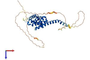 AlphaFold protein structure predicition of Human Recombinant KATNBL1 Protein, UniprotID Q9H079