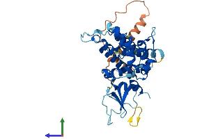 Protein Structure (PS) image for F-Box Protein 32 (FBXO32) (AA 1-355) protein (His tag) (ABIN7560481)