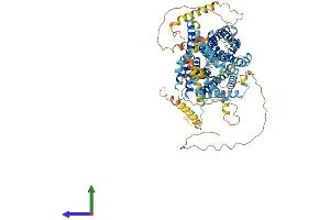 Protein Structure (PS) image for Solute Carrier Family 9 (Sodium/hydrogen Exchanger), Member 4 (SLC9A4) (AA 1-797) protein (His tag) (ABIN7564431)