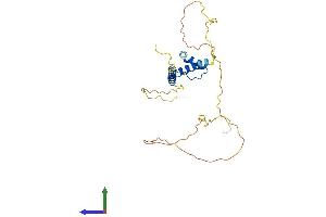 Protein Structure (PS) image for Emerin (EMD) (AA 1-259) protein (His tag) (ABIN7562171)