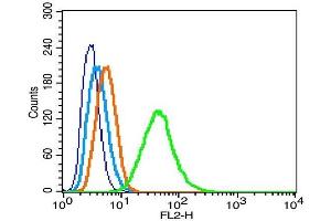 RSC96 cells probed with LAMR1 Polyclonal Antibody, Unconjugated  at 1:100 for 30 minutes followed by incubation with a conjugated secondary (PE Conjugated) (green) for 30 minutes compared to control cells (blue), secondary only (light blue) and isotype control (orange). (LAMR1CT (AA 201-295) 抗体)