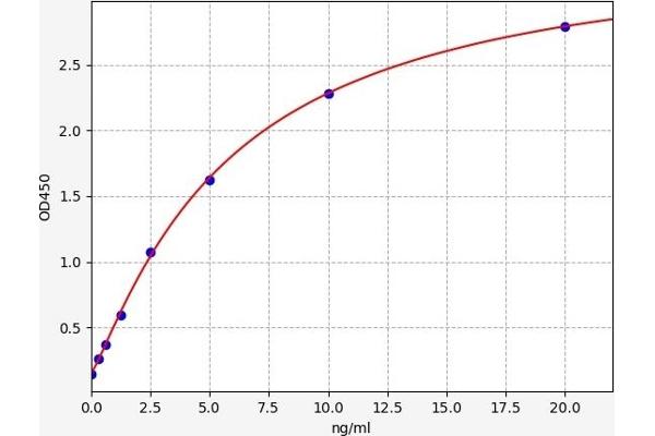 Aryl Hydrocarbon Receptor ELISA 试剂盒