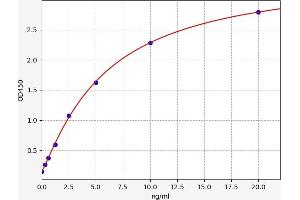 Typical standard curve (Aryl Hydrocarbon Receptor ELISA 试剂盒)