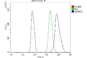 Flow Cytometry analysis of NRK cells using anti-AKAP12 antibody (ABIN7601563). (AKAP12 抗体  (AA 387-1620))