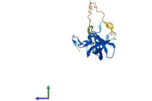 Protein Structure (PS) image for Cold Shock Domain Containing C2, RNA Binding (CSDC2) (AA 1-154) protein (His tag) (ABIN7560115)