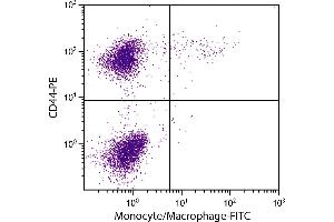 Chicken peripheral blood monocytes were stained with Mouse Anti-Chicken Monocyte/Macrophage-FITC. (Macrophage/Monocyte 抗体 (FITC))