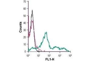 Flow Cytometry (FACS) image for anti-Growth Hormone Secretagogue Receptor (GHSR) (AA 197-207), (Extracellular) antibody (FITC) (ABIN7043265)
