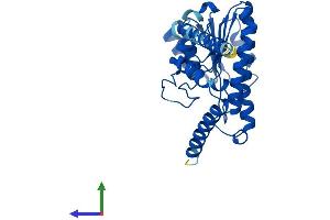 AlphaFold protein structure predicition of Human Recombinant HSD17B12 Protein, UniprotID Q53GQ0