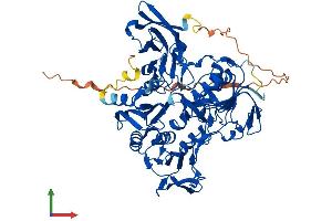 Protein Structure (PS) image for Apoptosis-Inducing Factor, Mitochondrion-Associated, 3 (AIFM3) (AA 1-605) protein (His tag) (ABIN7552040)