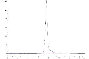 Size-exclusion chromatography-High Pressure Liquid Chromatography (SEC-HPLC) image for Sialic Acid Binding Ig-Like Lectin 5 (SIGLEC5) (AA 17-439) protein (His tag) (ABIN7275613)