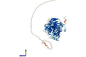 Protein Structure (PS) image for Ubiquitin Specific Peptidase 39 (USP39) (AA 1-564) protein (His tag) (ABIN7557066)