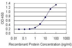 Detection limit for recombinant GST tagged TEX14 is 0. (TEX14 抗体  (AA 1392-1491))