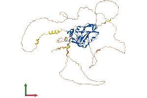 Protein Structure (PS) image for T-Box 15 (TBX15) (AA 1-602) protein (His tag) (ABIN7544361)