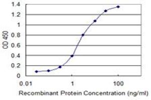 Detection limit for recombinant GST tagged RBM10 is 0. (RBM10 抗体  (AA 123-230))