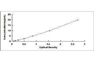Typical standard curve (BCL11A ELISA 试剂盒)