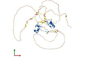 Protein Structure (PS) image for GATA Binding Protein 4 (GATA4) (AA 1-441) protein (His tag) (ABIN7563610)