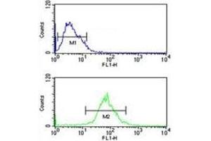 AIM2 antibody flow cytometric analysis of MCF-7 cells (green) compared to a negative control (blue).