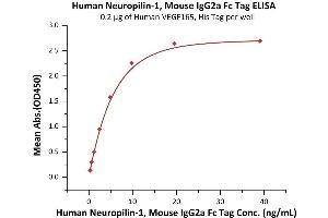 Immobilized Human VEGF165, His Tag (ABIN2181905,ABIN2181904) at 2 μg/mL (100 μL/well) can bind Human Neuropilin-1, Mouse IgG2a Fc Tag (ABIN6973172) with a linear range of 0. (Neuropilin 1 Protein (NRP1) (AA 22-644) (mFc Tag))