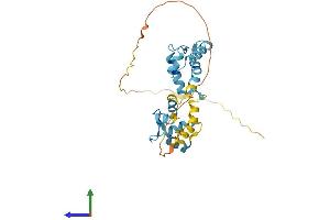 Protein Structure (PS) image for Calcium Binding Protein 4 (CABP4) (AA 1-271) protein (His tag) (ABIN7559919)