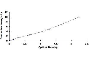 Typical standard curve (NFIB ELISA 试剂盒)