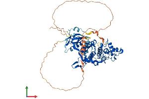 AlphaFold protein structure predicition of Mouse Recombinant Nlk Protein, UniprotID O54949 (Nemo-Like Kinase Protein (NLK) (AA 1-527) (His tag))