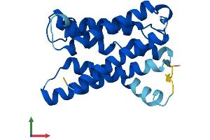 AlphaFold protein structure predicition of Mouse Recombinant Kdelr3 Protein, UniprotID Q8R1L4
