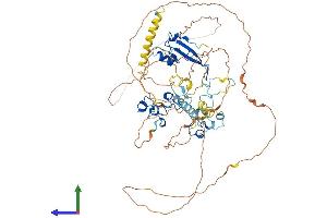 Protein Structure (PS) image for Methyl-CpG Binding Domain Protein 1 (MBD1) (AA 1-636) protein (His tag) (ABIN7565297)