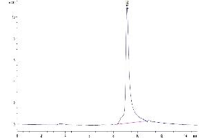 The purity of Human S100A9/MRP14 is greater than 95 % as determined by SEC-HPLC.