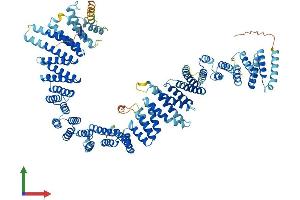 AlphaFold protein structure predicition of Human Recombinant TEX11 Protein, UniprotID Q8IYF3
