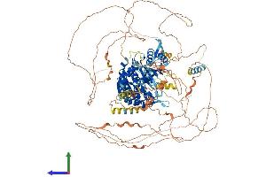 Protein Structure (PS) image for Suppression of Tumorigenicity 5 (ST5) (AA 1-1134) protein (His tag) (ABIN7564867)