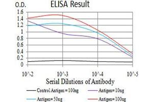Black line: Control Antigen (100 ng);Purple line: Antigen (10ng); Blue line: Antigen (50 ng); Red line:Antigen (100 ng) (LSD1 抗体  (AA 55-263))