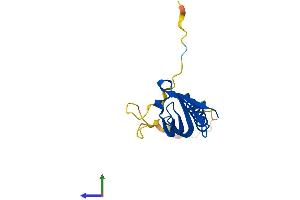 AlphaFold protein structure predicition of Human Recombinant GEMIN7 Protein, UniprotID Q9H840