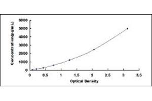 Typical standard curve (Cyclin Y ELISA 试剂盒)