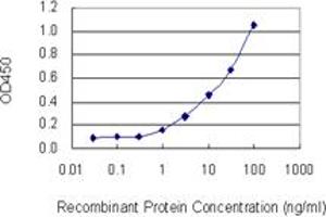 ELISA image for anti-Dynein, Light Chain, LC8-Type 2 (DYNLL2) (AA 1-72) antibody (ABIN530811)
