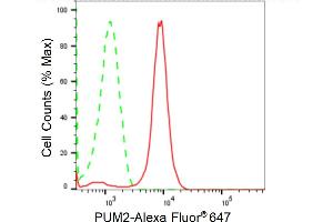 Flow cytometric analysis of PUM2 expression in H9c2 cells using PUM2 antibody (ABIN7800065), 1:2,000).