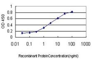 Detection limit for recombinant GST tagged BUB1B is approximately 0. (BUB1B 抗体  (AA 1-130))