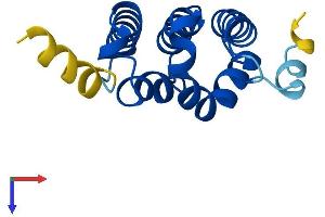 AlphaFold protein structure predicition of Human Recombinant STAG3L3 Protein, UniprotID P0CL85