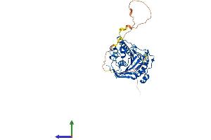 AlphaFold protein structure predicition of Human Recombinant B4GALT1 Protein, UniprotID P15291
