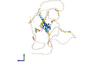 Protein Structure (PS) image for Sterile alpha Motif Domain Containing 11 (SAMD11) (AA 1-542) protein (His tag) (ABIN7557000)