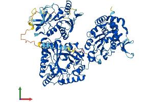 Protein Structure (PS) image for N-Deacetylase/N-Sulfotransferase (Heparan Glucosaminyl) 3 (NDST3) (AA 1-873) protein (His tag) (ABIN7565035)