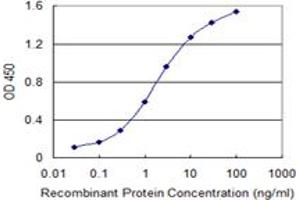 Detection limit for recombinant GST tagged SF3B4 is 0.