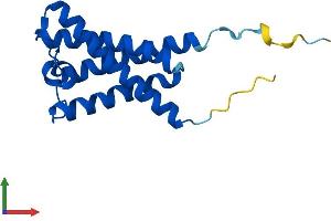 Protein Structure (PS) image for SYS1 Golgi-Localized Integral Membrane Protein Homolog (SYS1) (AA 1-156) protein (His tag) (ABIN7544060)