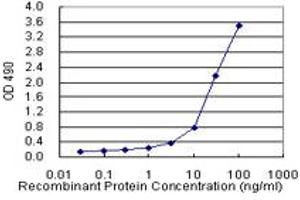 Sandwich ELISA detection sensitivity ranging from 1 ng/mL to 100 ng/mL. (TNFRSF14 (人) Matched Antibody Pair)